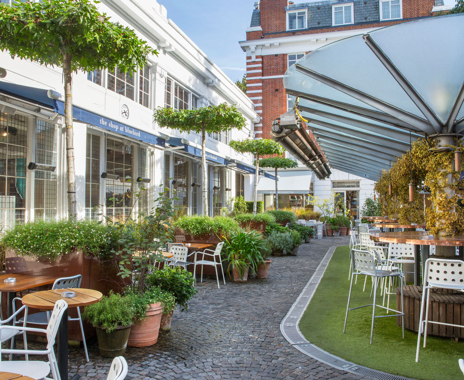 The Courtyard at Bluebird has been designed to create intimate spaces between the “parasol’ trees and clusters of pots