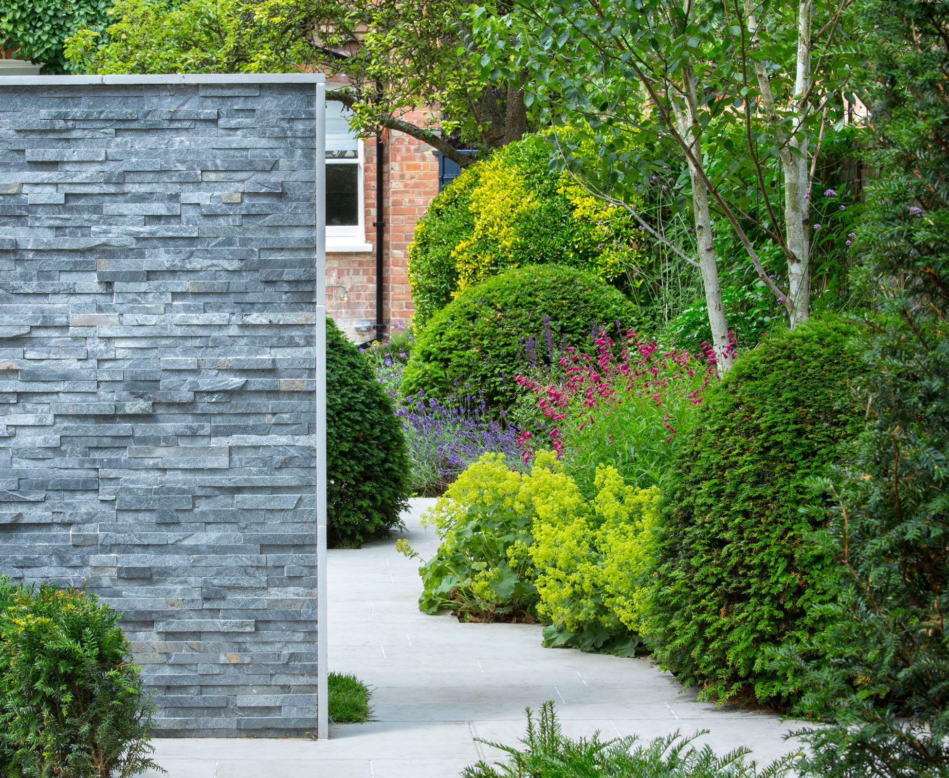 The contemporary grey sawn sandstone, the slate feature wall and the clipped balls are the spine of this Finchley garden.