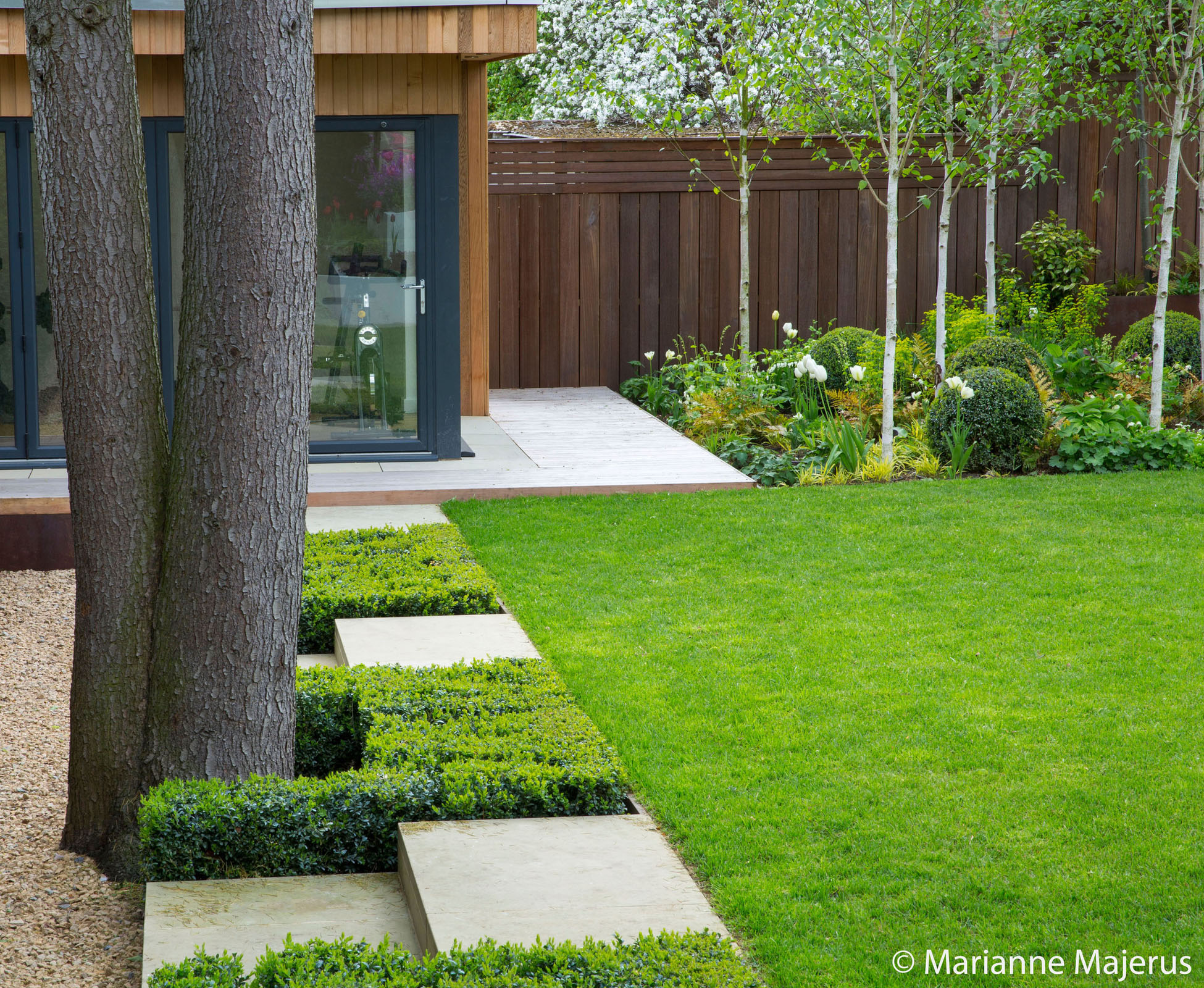The gravel path along a tall yew hedge leads to the outdoor gym. An impressive existing tree has been kept and became a feature in the overall design of this Highgate garden.
