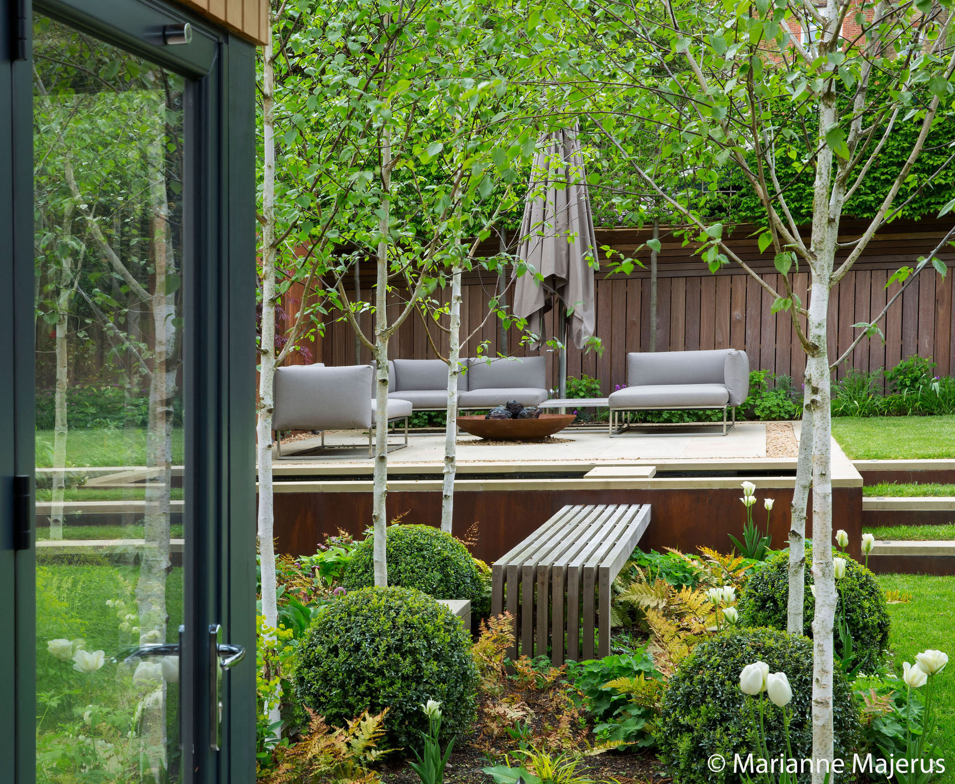 The view from the studio is lush with birch trees, white stems and clipped topiary balls, attracting the eye to the seating area at the back of this Highgate garden.