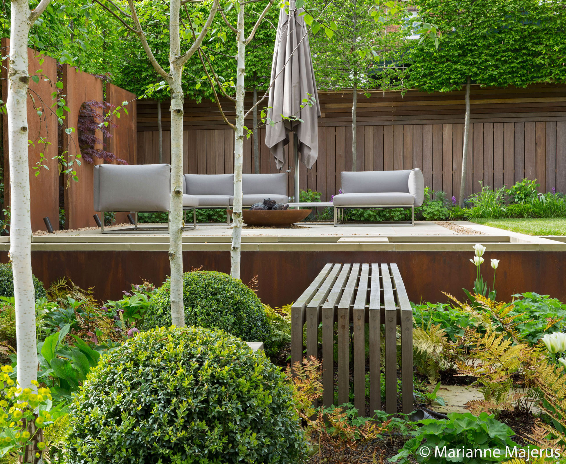 The woodland planting in this Highgate garden with some tall Betula ‘Jaquemontii’, evergreen Dryopteris x erythrosora, Anemanthele lessoniana and some white Anemones to flower at the end of the summer can be enjoyed from the hardwood boardwalk.