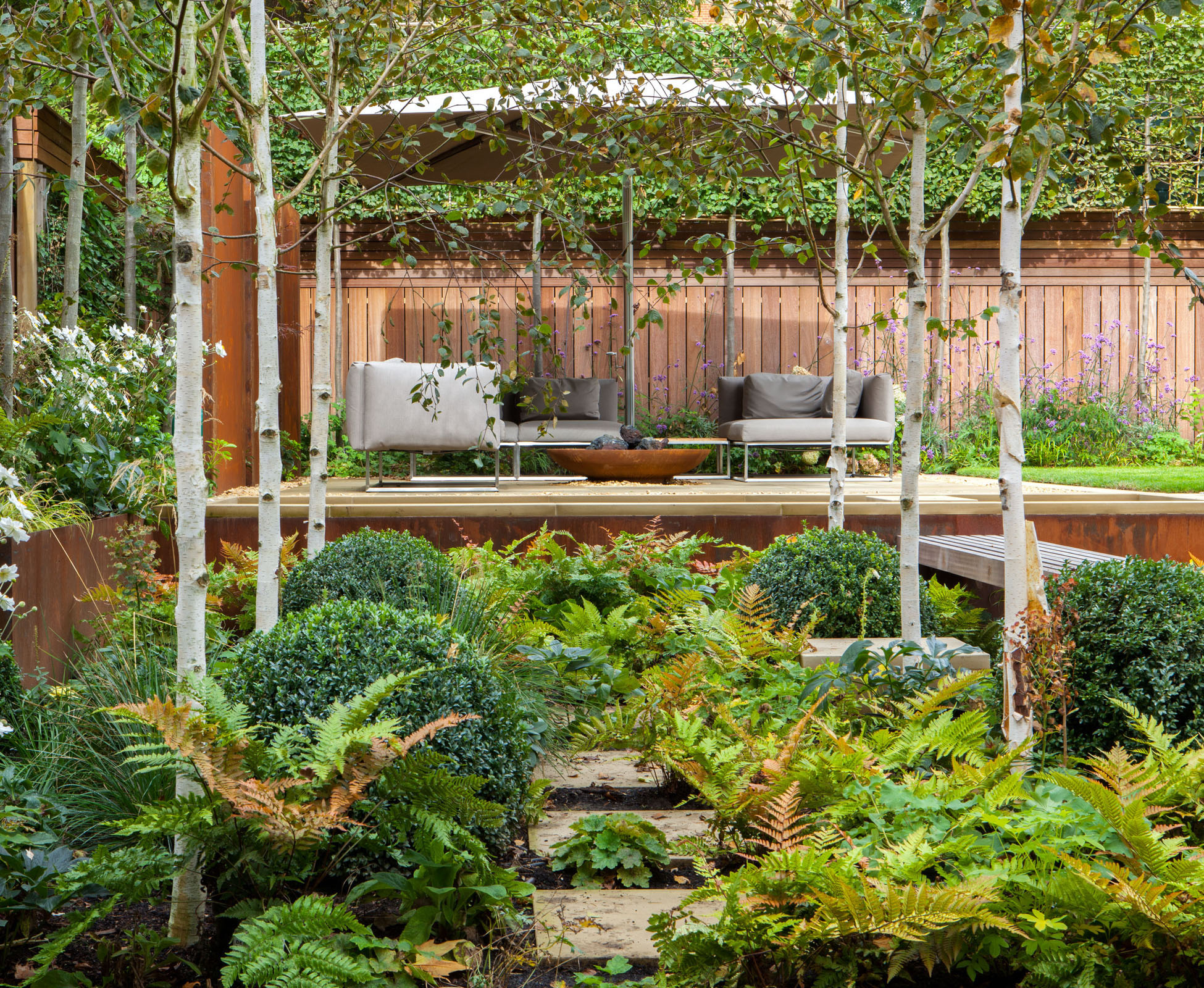 A view through the woodland planting, towards the seating area. The tree trunks create a strong focal point, leading to the pleached hornbeam at the back of the garden. The copper ferns look great with the corten steel in this Highgate garden.
