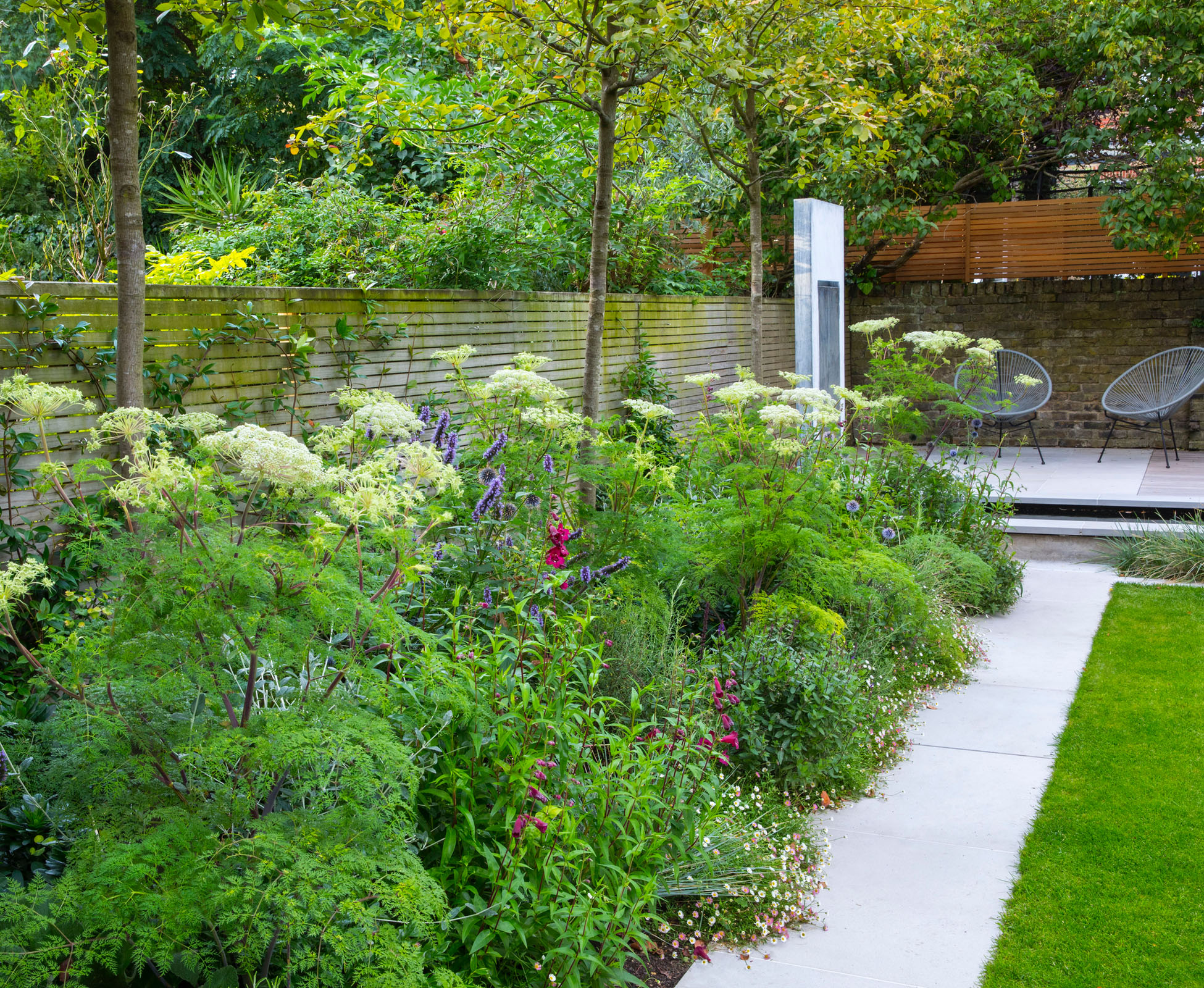 The Amelanchier trees are underplanted with a mix of herbaceous and grasses such as cow parsley, catnip, daisies, agastache and alchmilla. They attract bees and other insects making this Islington garden full of wildlife in the centre of London.