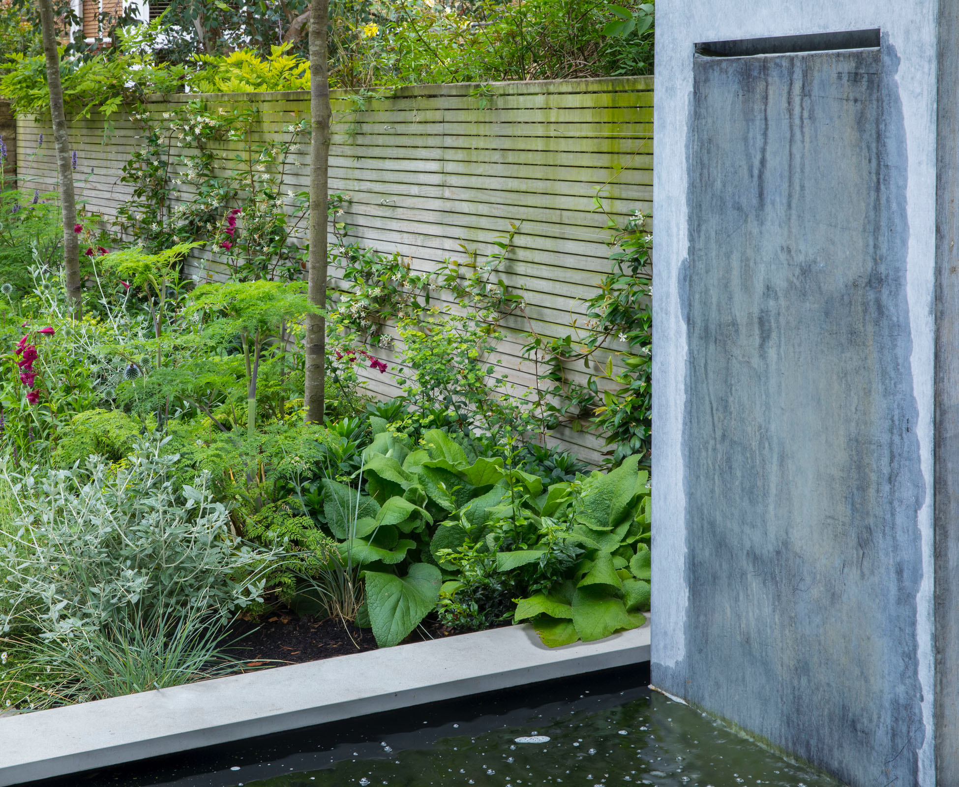This water wall creates a subtle and pleasant sound when enjoying the seating area. Some of the plants with grey leaves remind us of the zinc and bring more unity to this Islington garden.