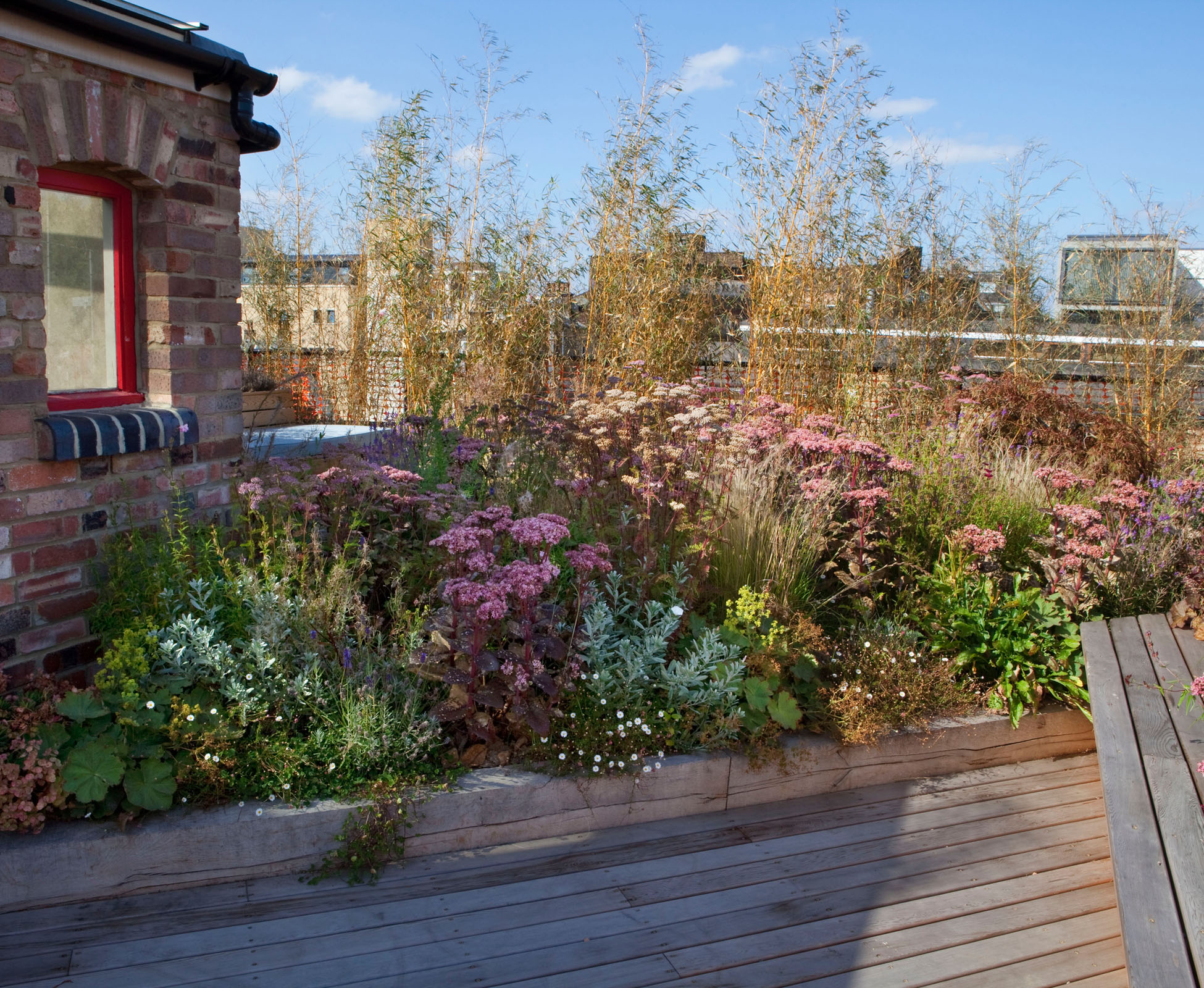 The prairie style planting of this terrace is well suited to the harsh environment of roof gardens