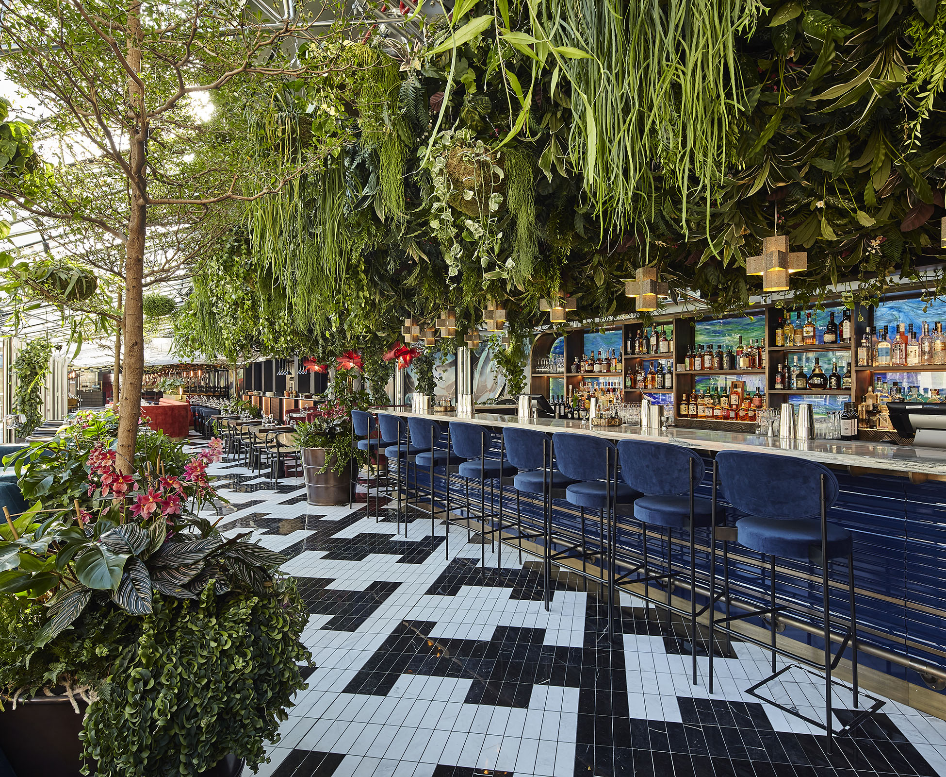 The majestic Bucida trees create a dramatic focal view as you enter Sushisamba Covent Garden, forming an avenue through the dining area and cocktail bar.